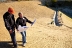 Site Management