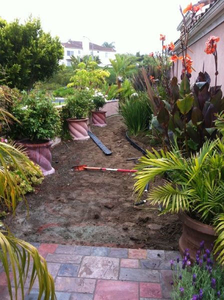 before-turf-removed-san-clemente