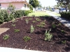 turf-removal-el-toro-during